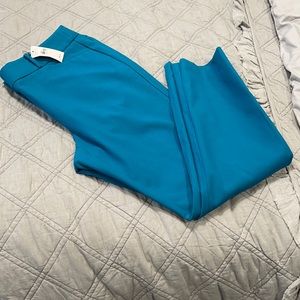 NWT Turquoise LOFT Skinny Pants